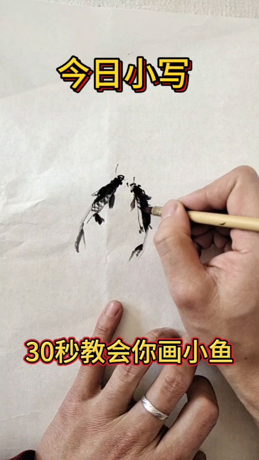 国画小鱼来了(系列入门教程查看个人主页)关注白老师带你学国画