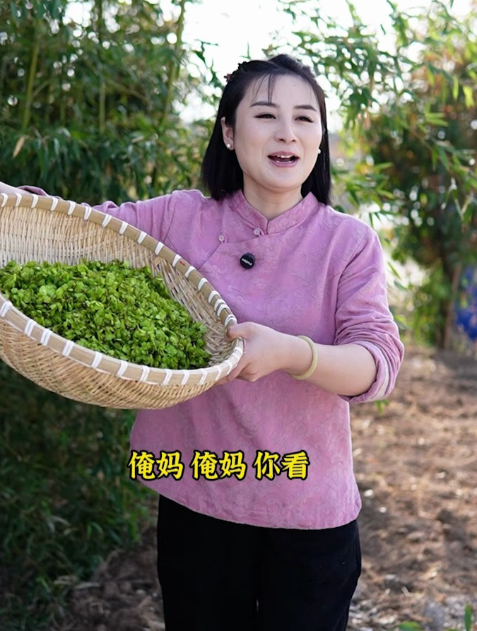 又到了吃榆钱的时候,今天用它做个窝窝头,你吃过吗?