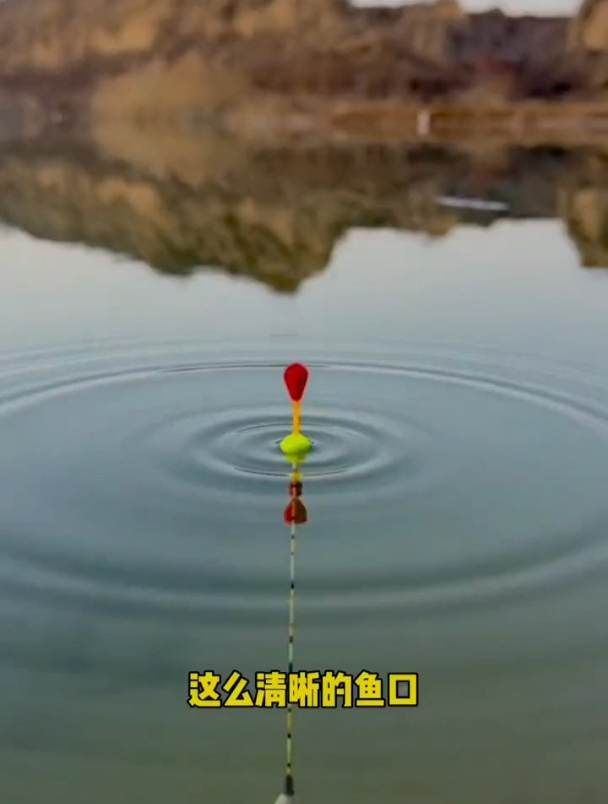鱼竿长了看不清漂相?浮漂上加两颗“豆”,小顿口漂相都能看清!