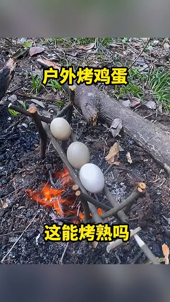 户外烤鸡蛋,这能烤熟吗?