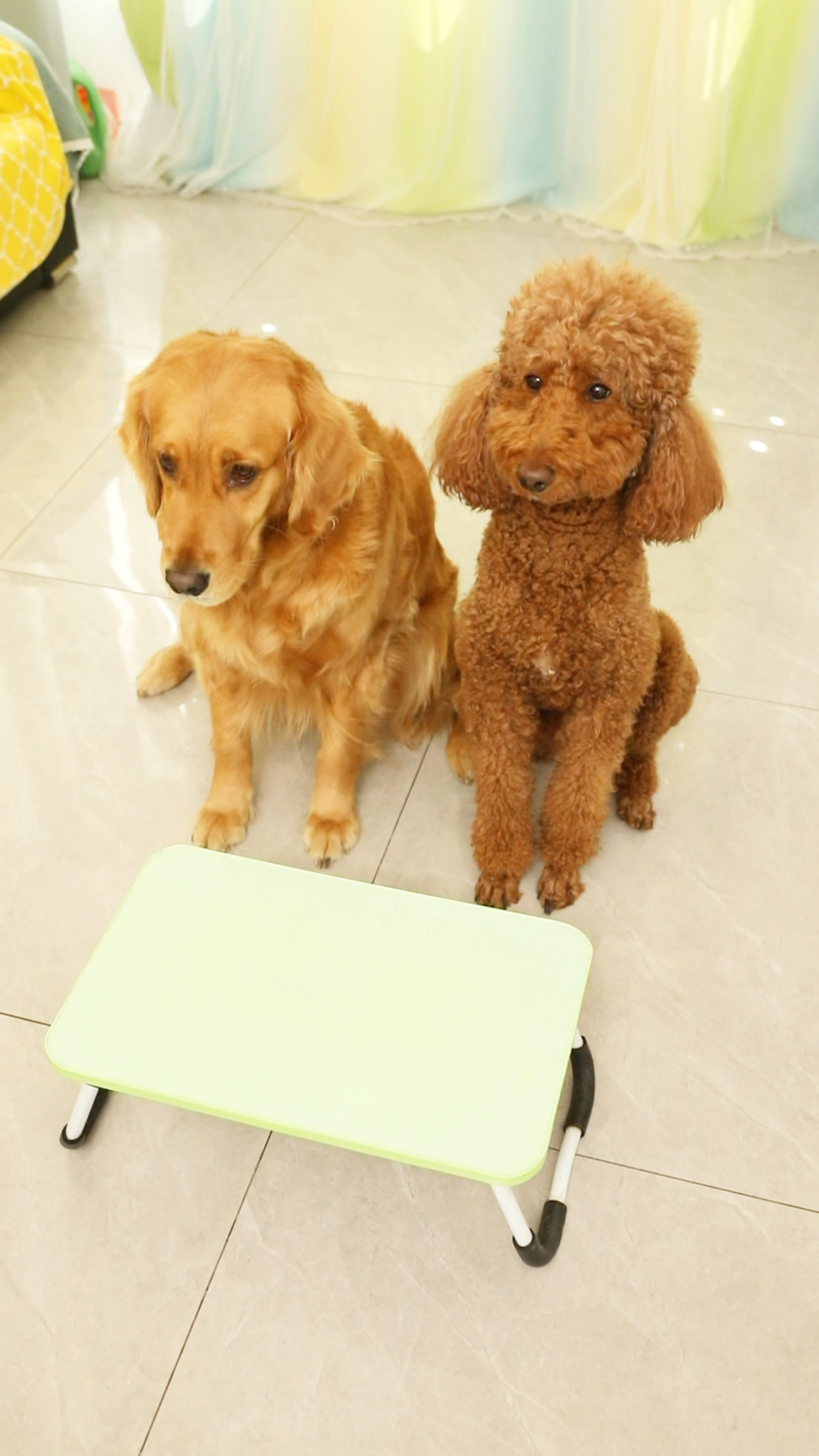 奶茶的碗里真的有鸡腿吗