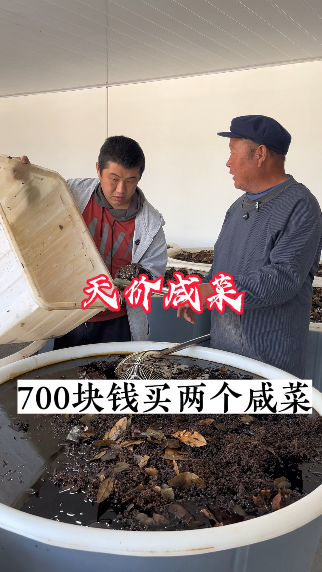 农村大爷卖狮子头咸菜,2个咸菜卖700块钱,我这是亏了还是赚了?