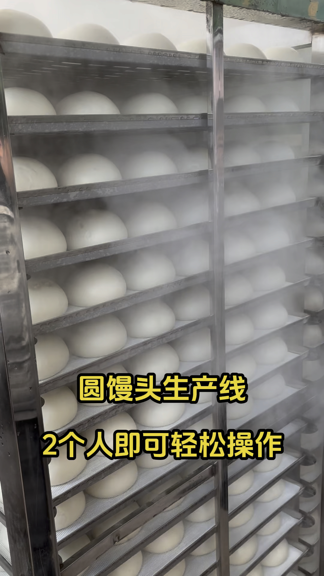 馒头房设备一机多用省时省力省人工蒸馒头馒头生产线车间实拍
