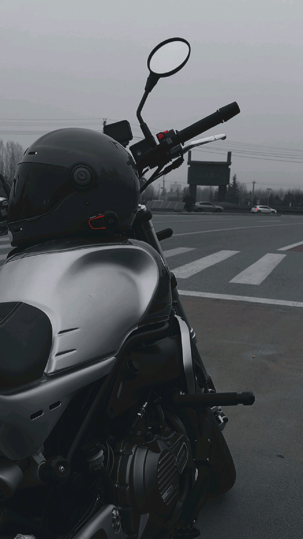 黑色油菜花开了吗?