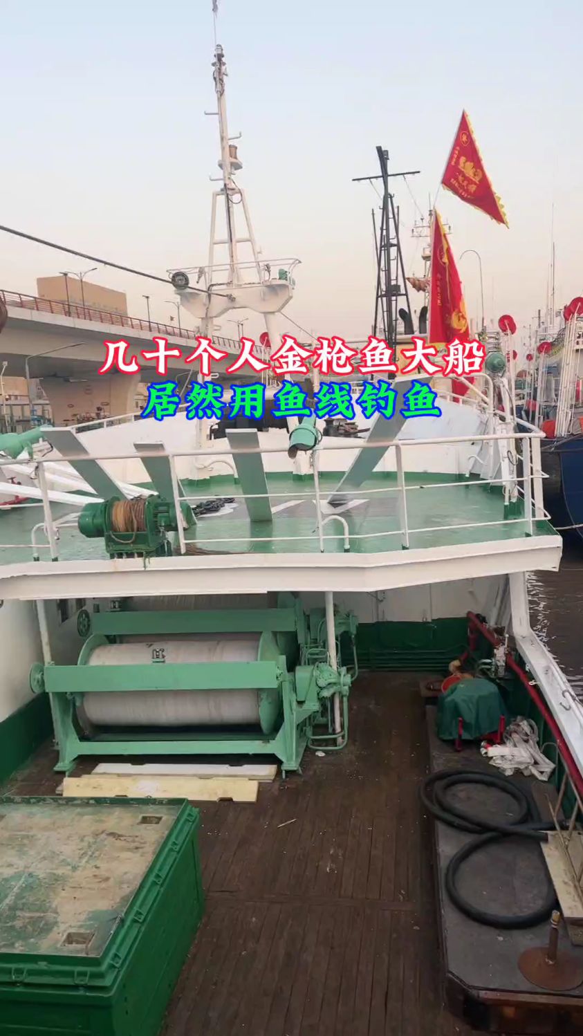 一条几十个人的金枪鱼大船,居然是用鱼线钓鱼的