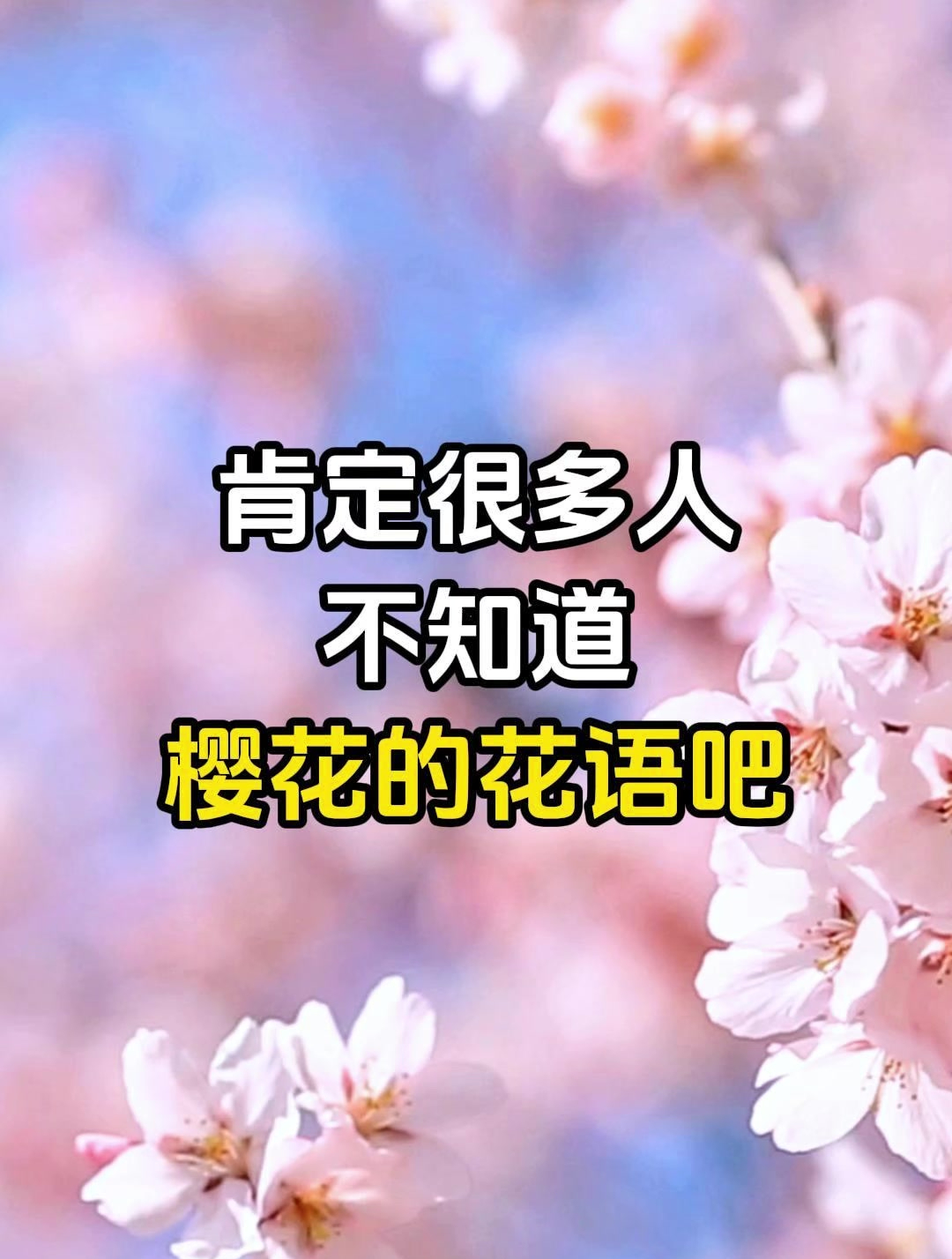 春日的信使:樱花的花语与寓意