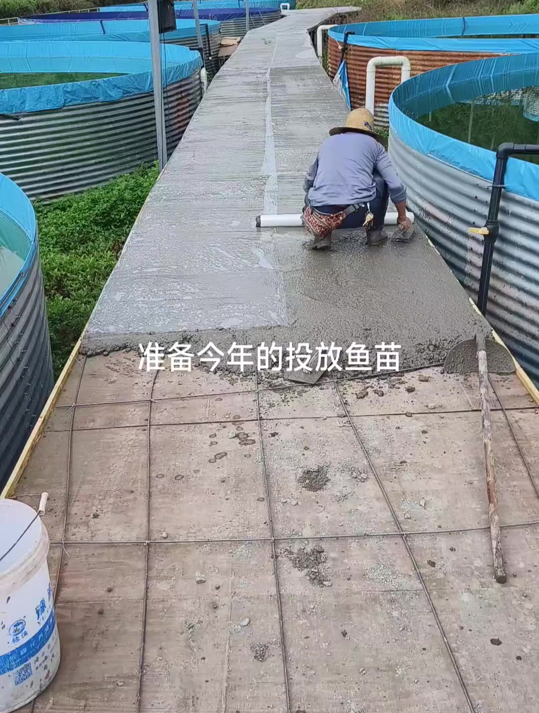 农村搞养殖,用铁皮围鱼塘养殖鱼苗,这样算高密度养殖吗