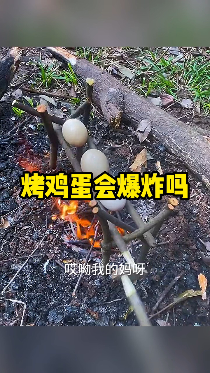 烤鸡蛋会爆炸吗?