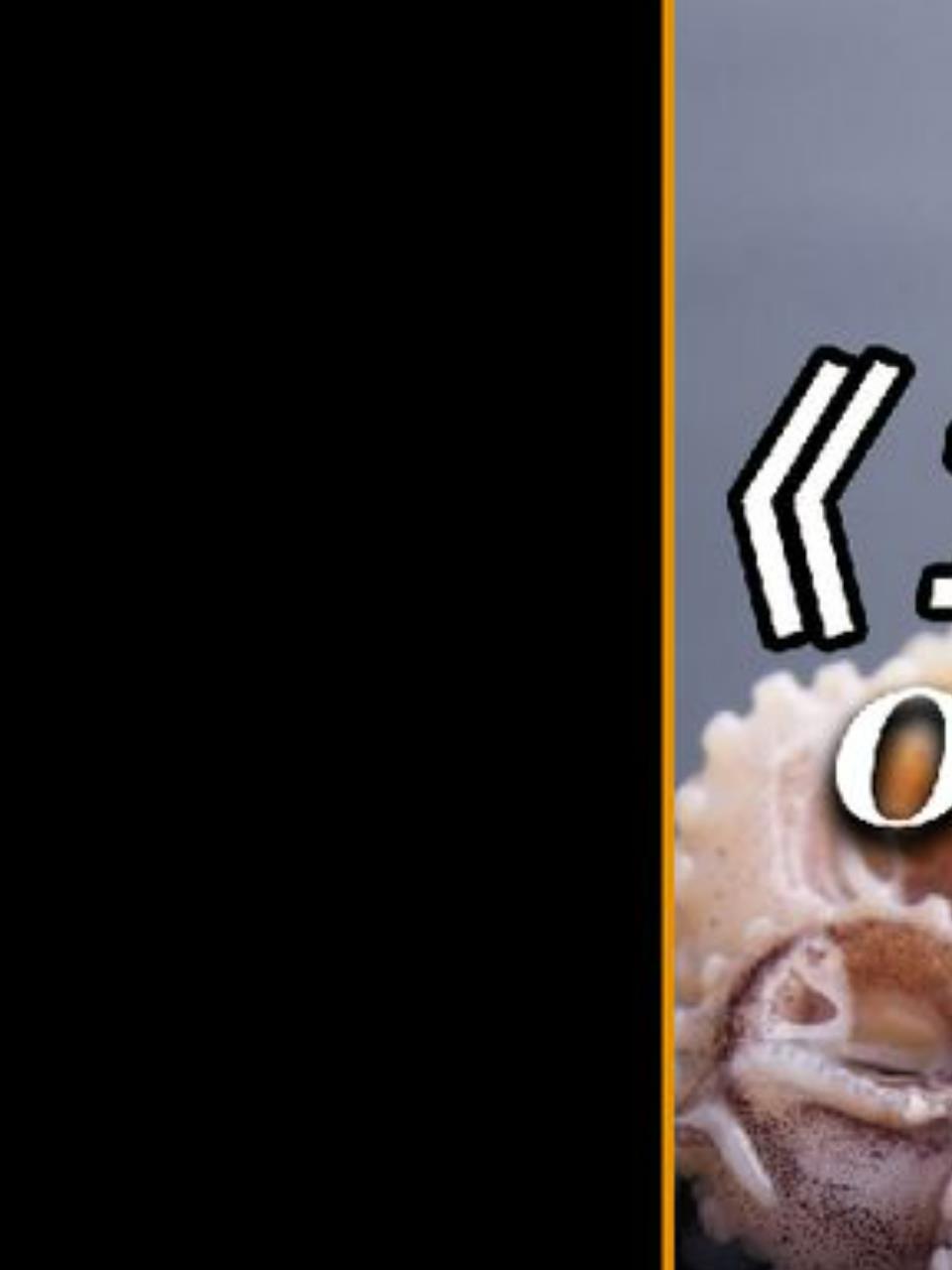 揭秘章鱼须的制作过程:看似诱人,竟是八爪鱼的‘手’!1