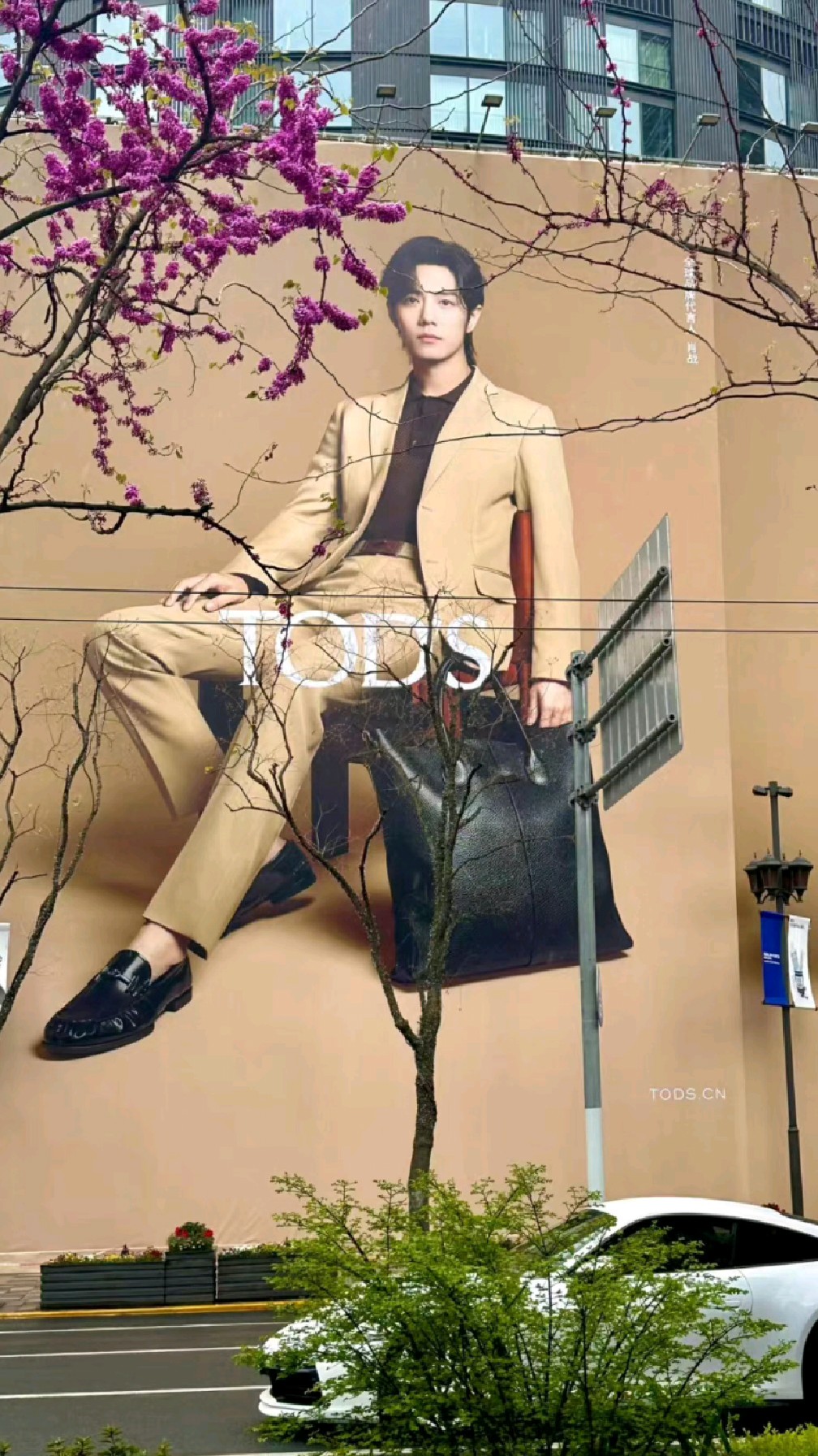 春赏《世界名画》