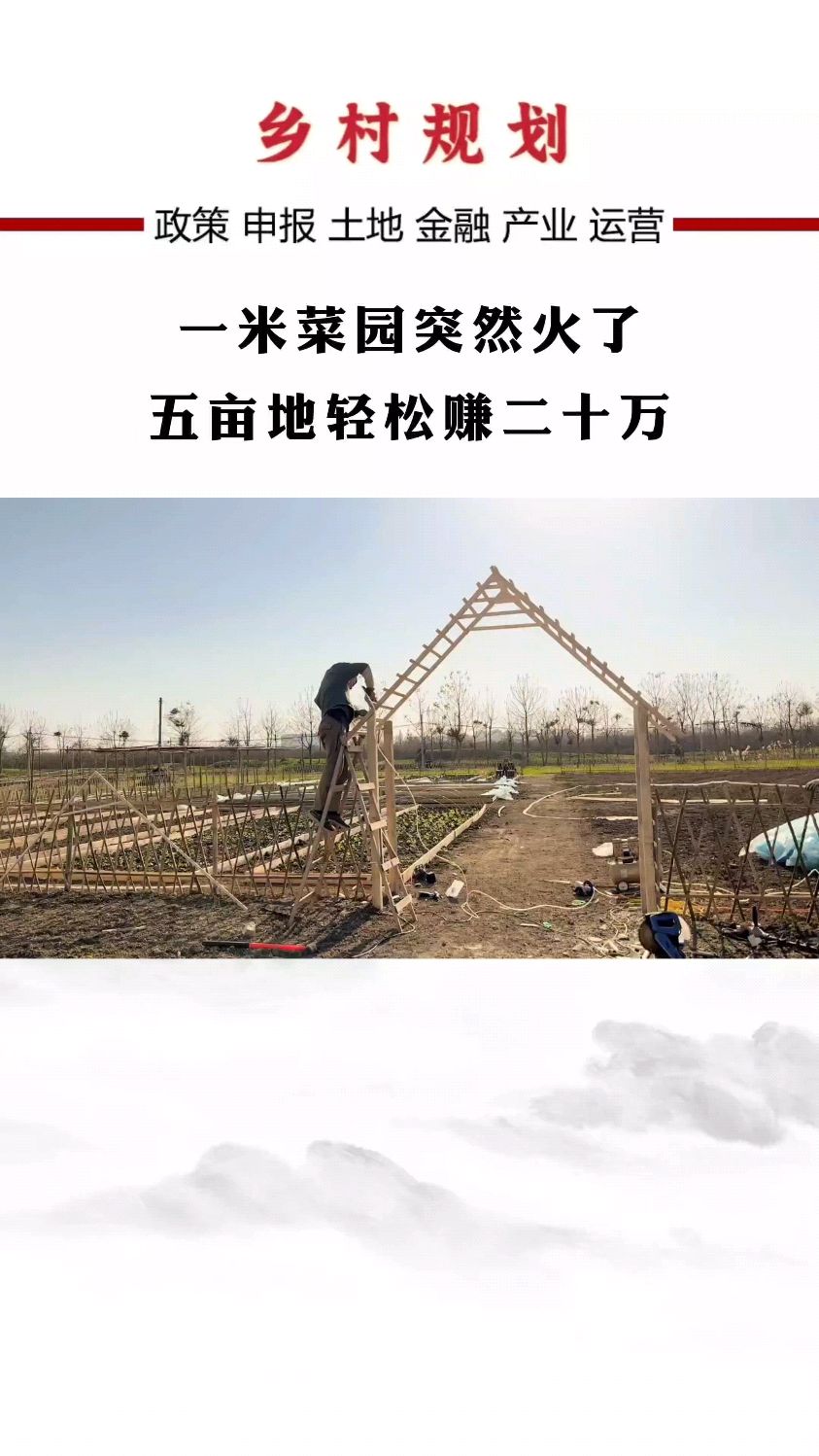 一米菜园突然就火了#乡村振兴#农场#一米菜园