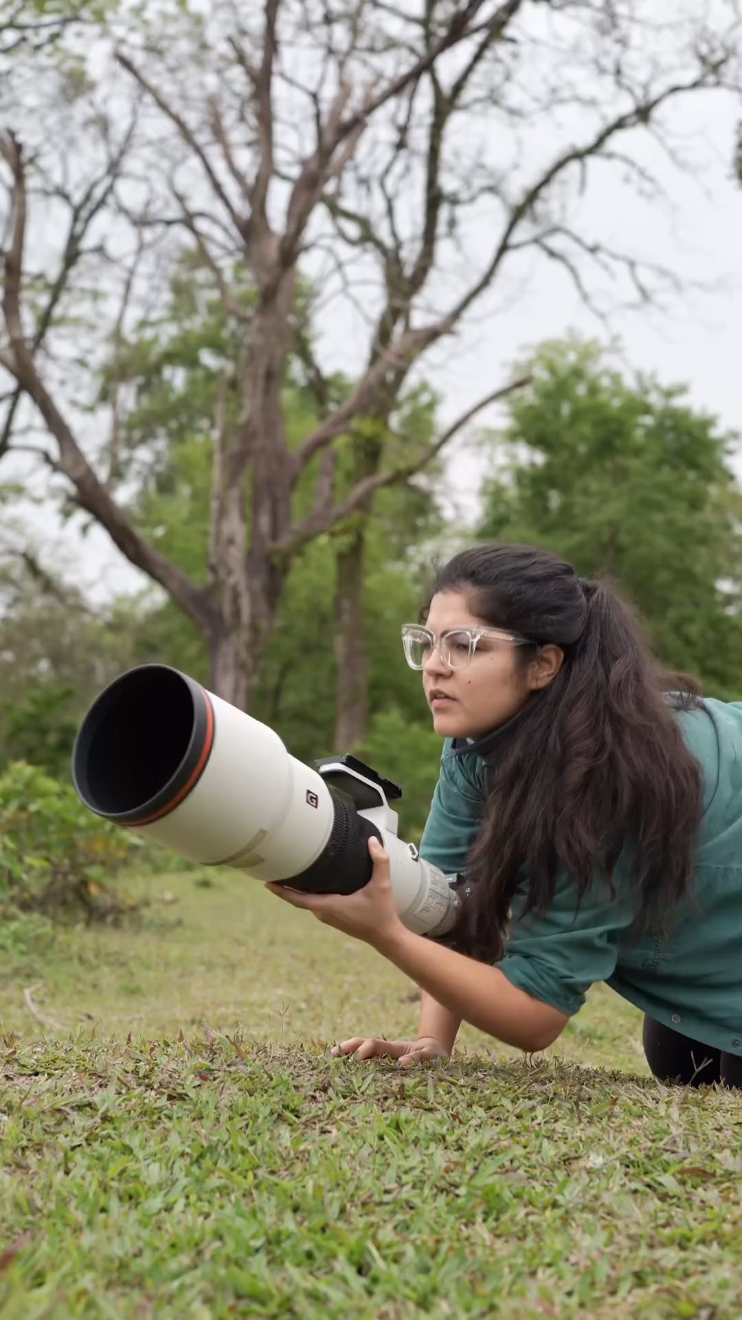 野生动物摄影拍摄花絮