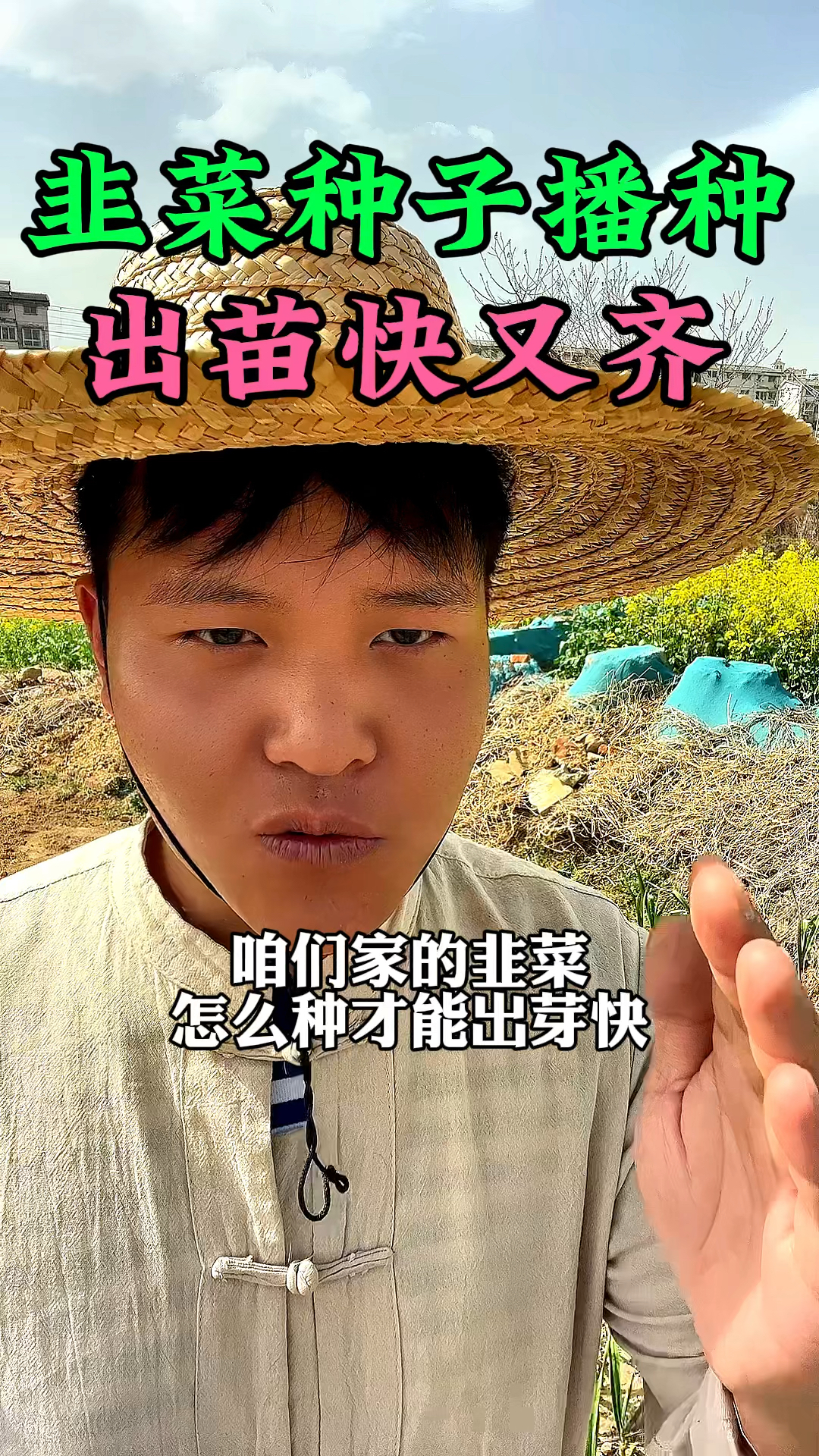 韭菜种子播种的方法,怎么种才能出苗快呢