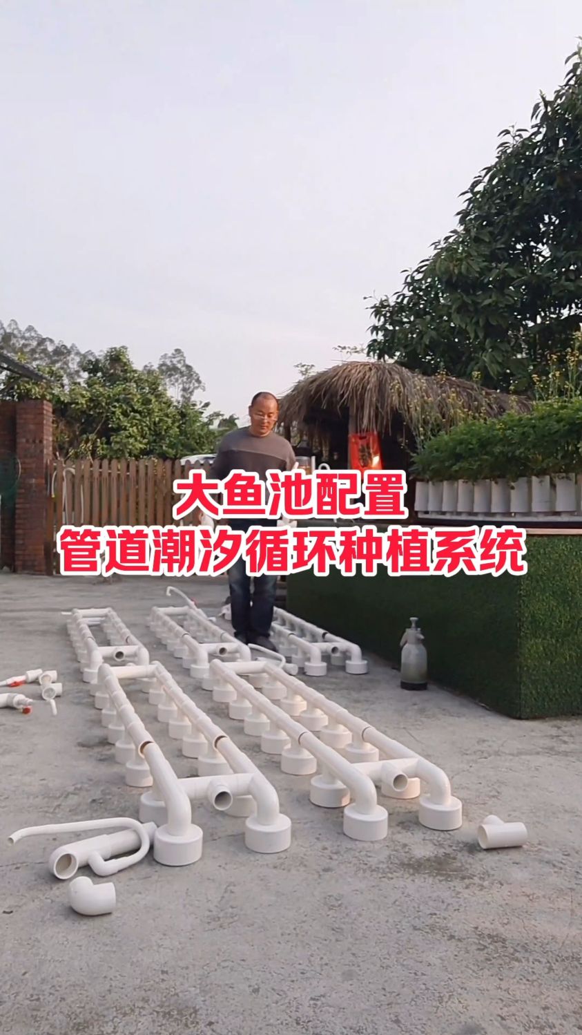 鱼菜共生管道潮汐循环种植系统增氧效果好