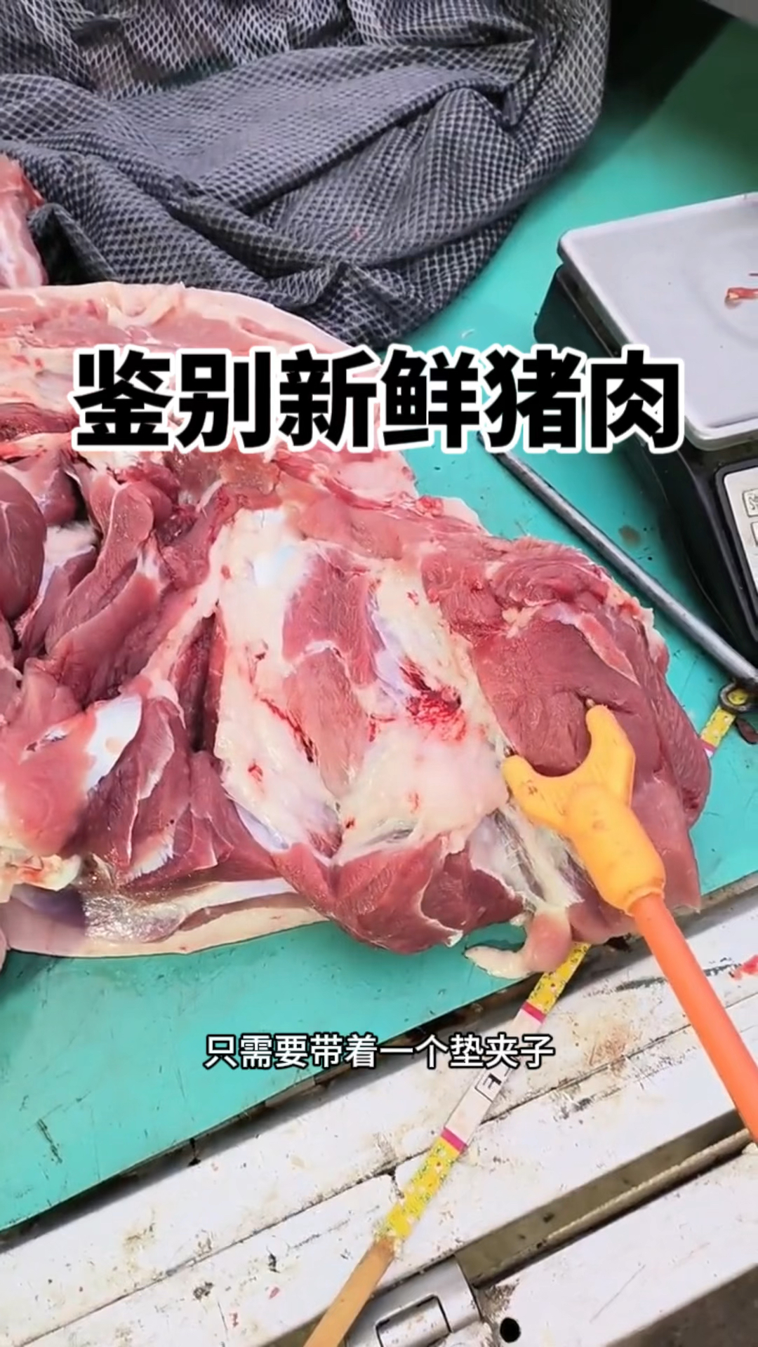 鉴别新鲜猪肉,长见识了