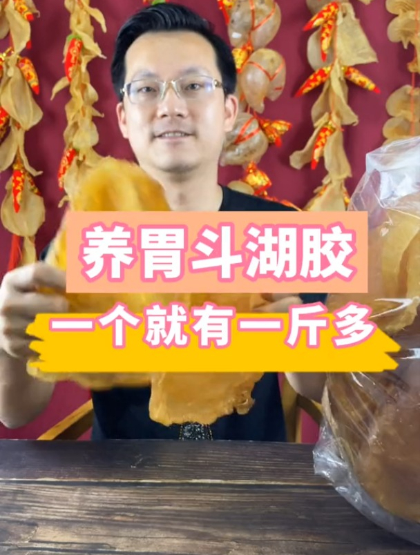养胃斗湖胶,一个一斤多 花胶 鱼胶 潮汕 滋补 养生
