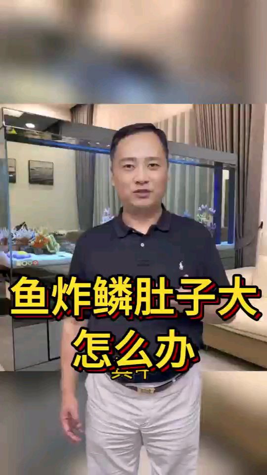 鱼炸鳞肚子大怎么办