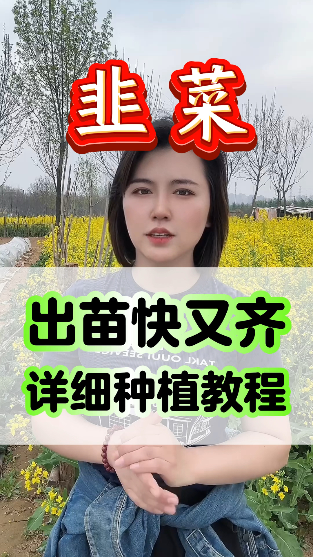 韭菜出苗快又齐的好方法,种植详细步骤来了