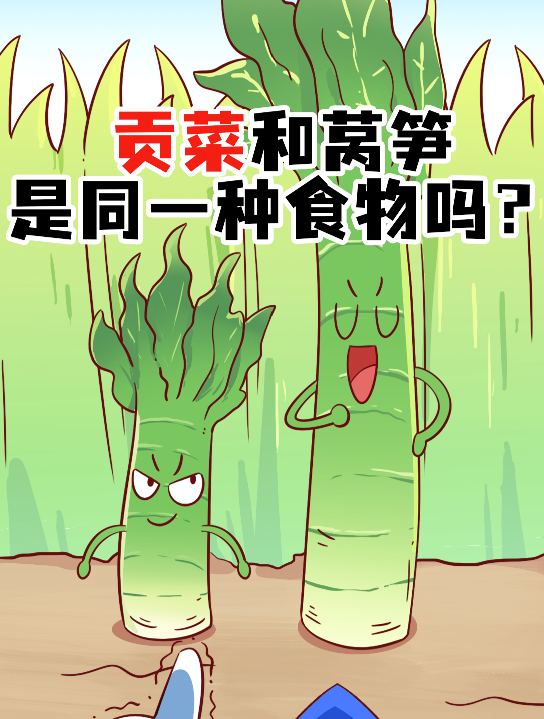 火锅里的“素菜之王”,贡菜为什么叫“贡”菜?