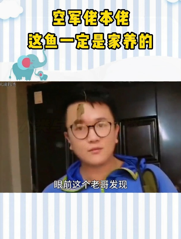 空军佬本佬,这鱼一定是家养的!