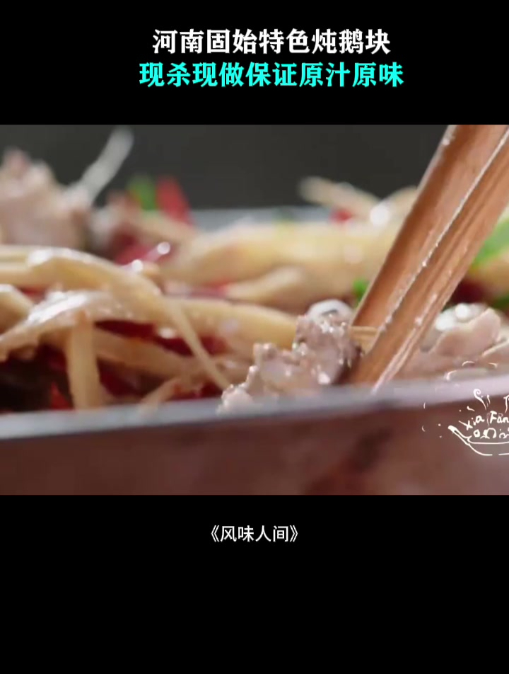 河南固始特色炖鹅块,现杀现做保证原汁原味,配米饭简直太好吃!