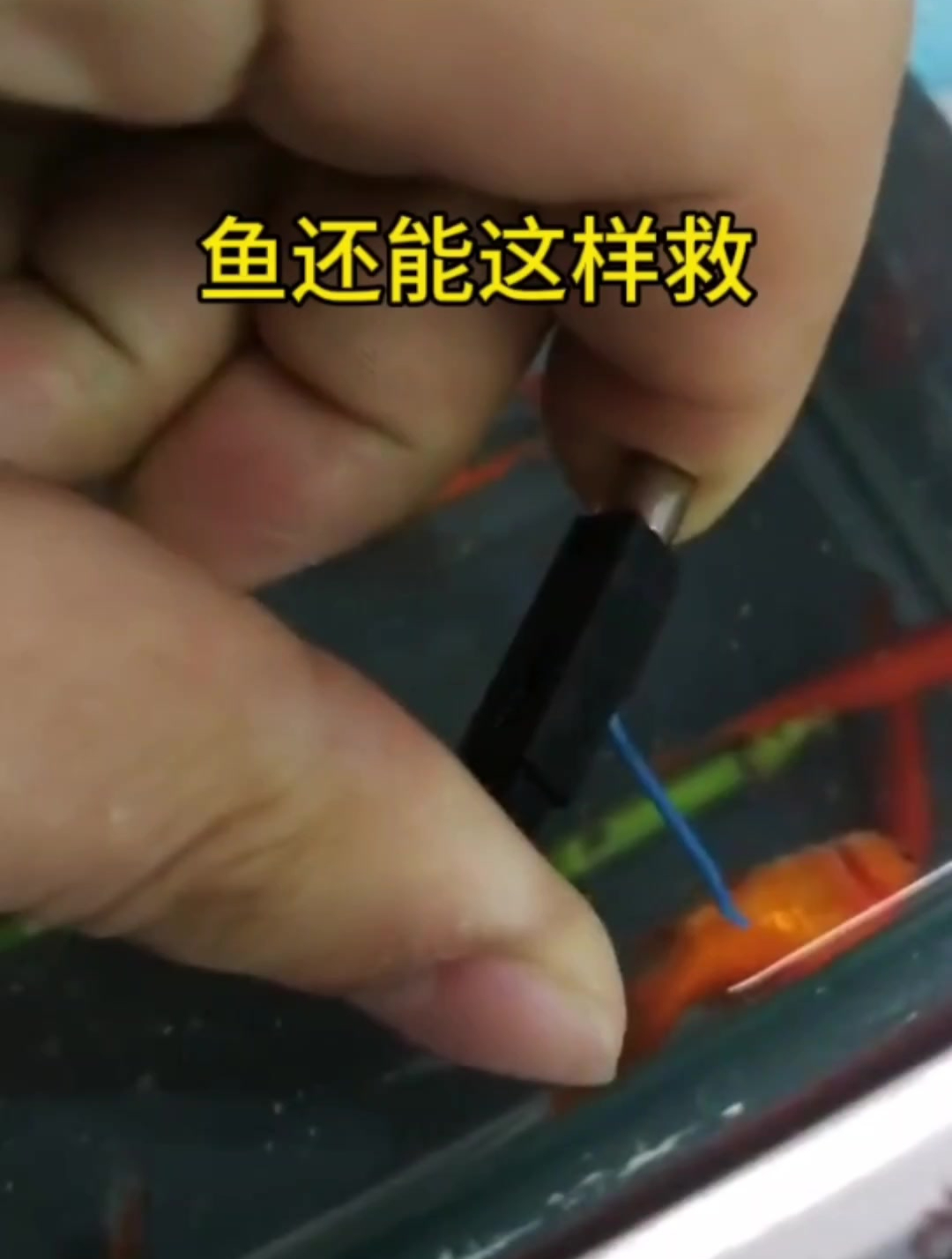 这老哥也是个电鱼高手啊
