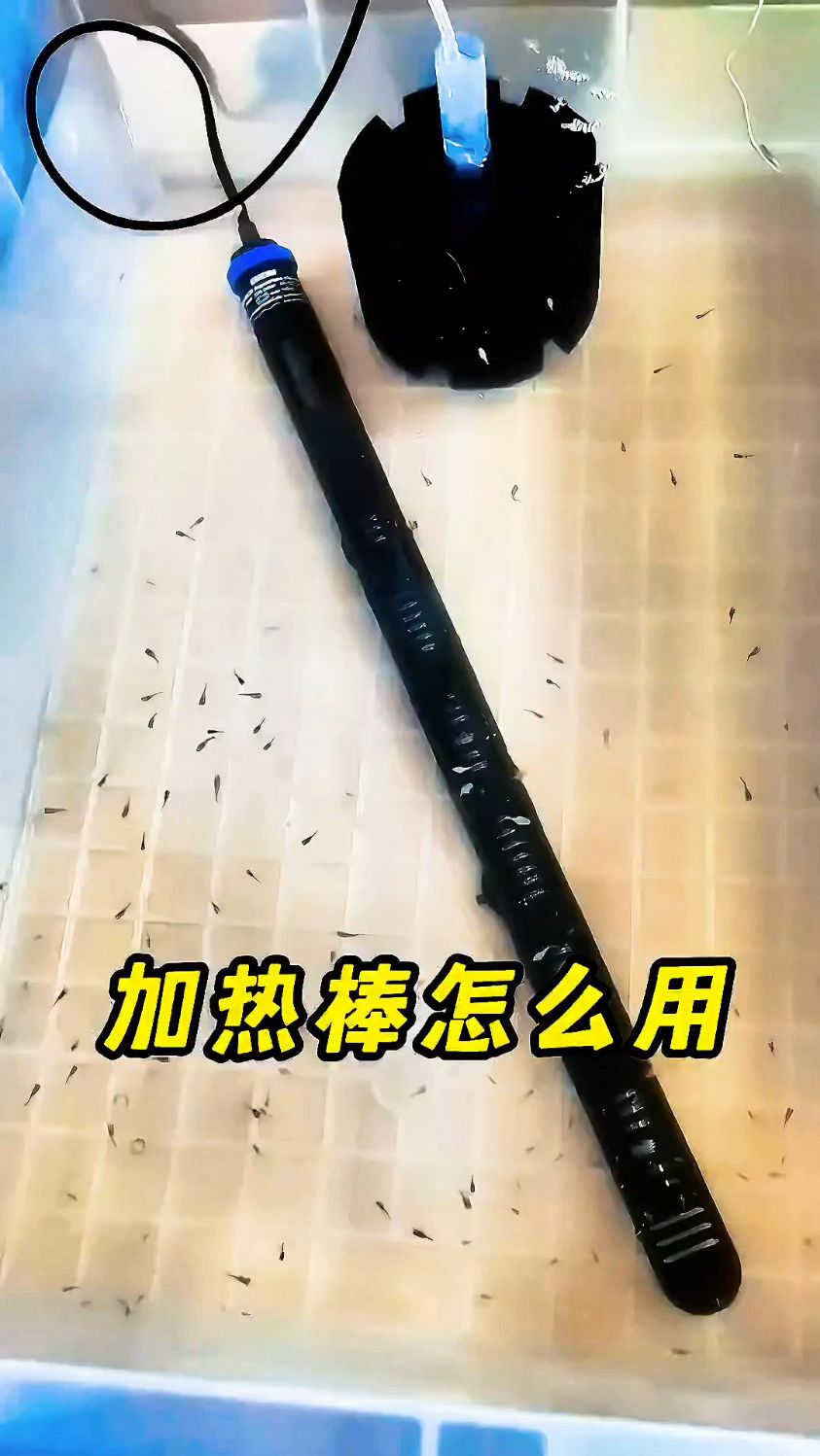 鱼缸普通加热棒的使用方法