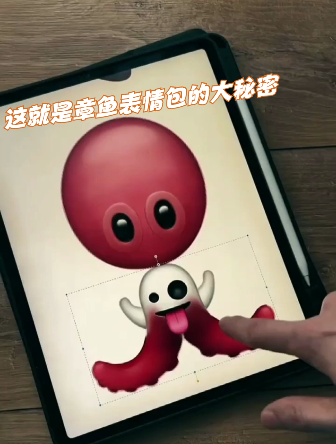 这就是章鱼表情包的大秘密