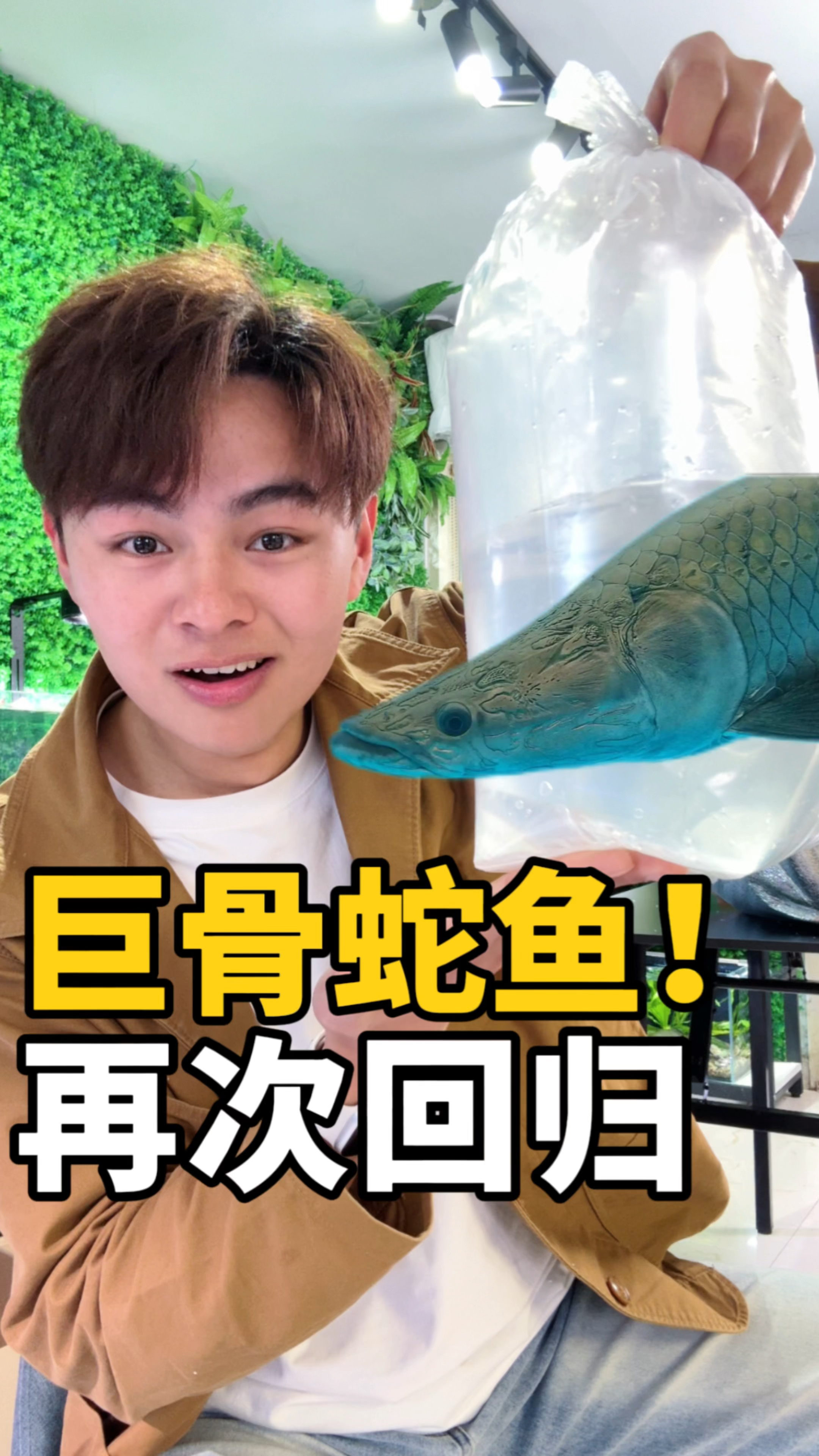 巨骨舌鱼再次回归!!!