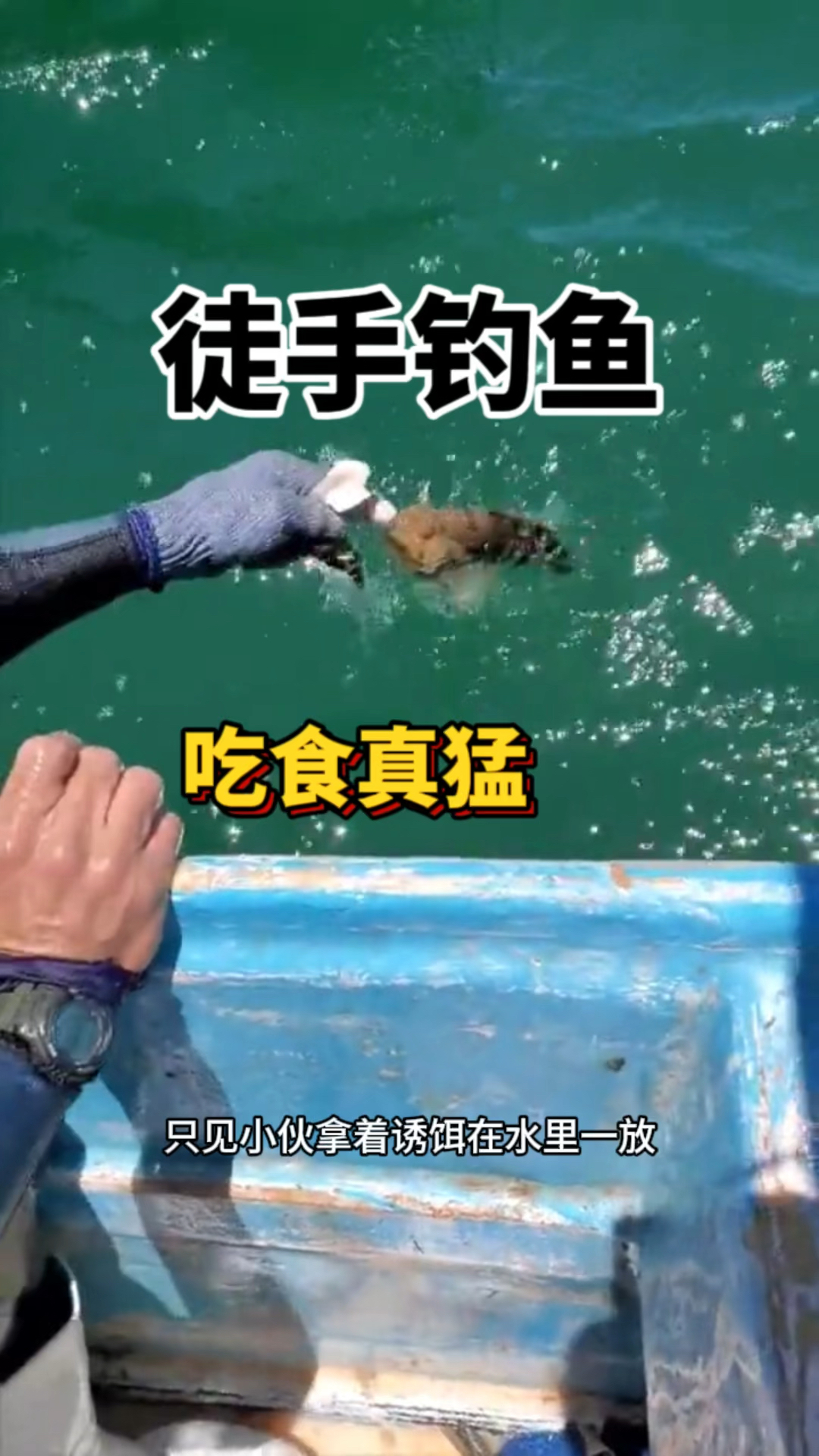 徒手钓鱼,鱼儿吃食真猛