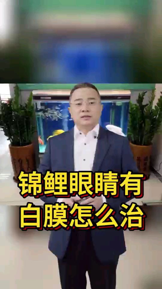 锦鲤眼睛有白膜怎么治