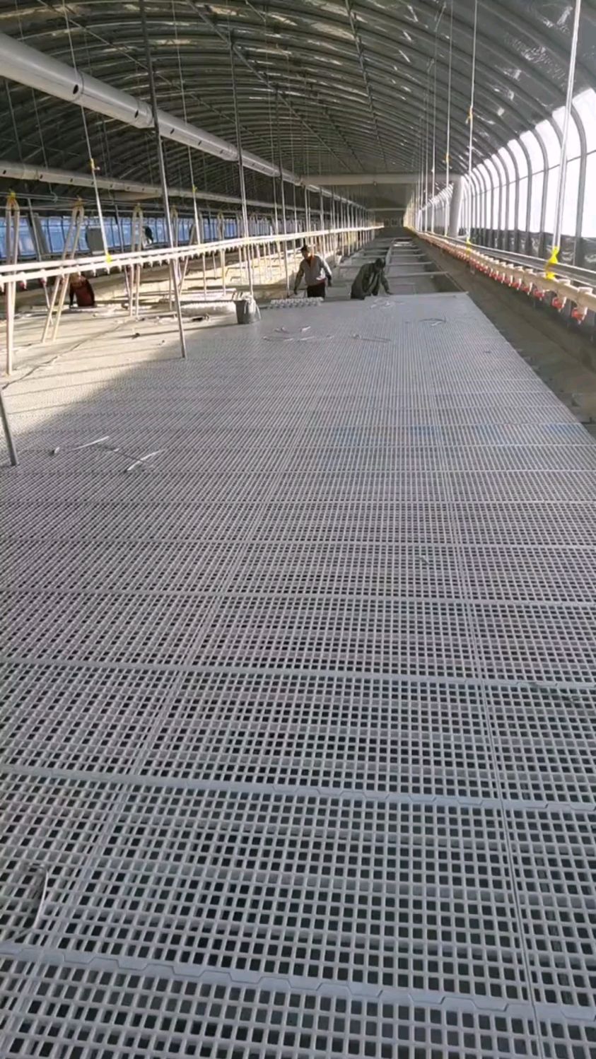 鸡鸭鹅平养圈舍塑料漏粪板安装要点注意事项