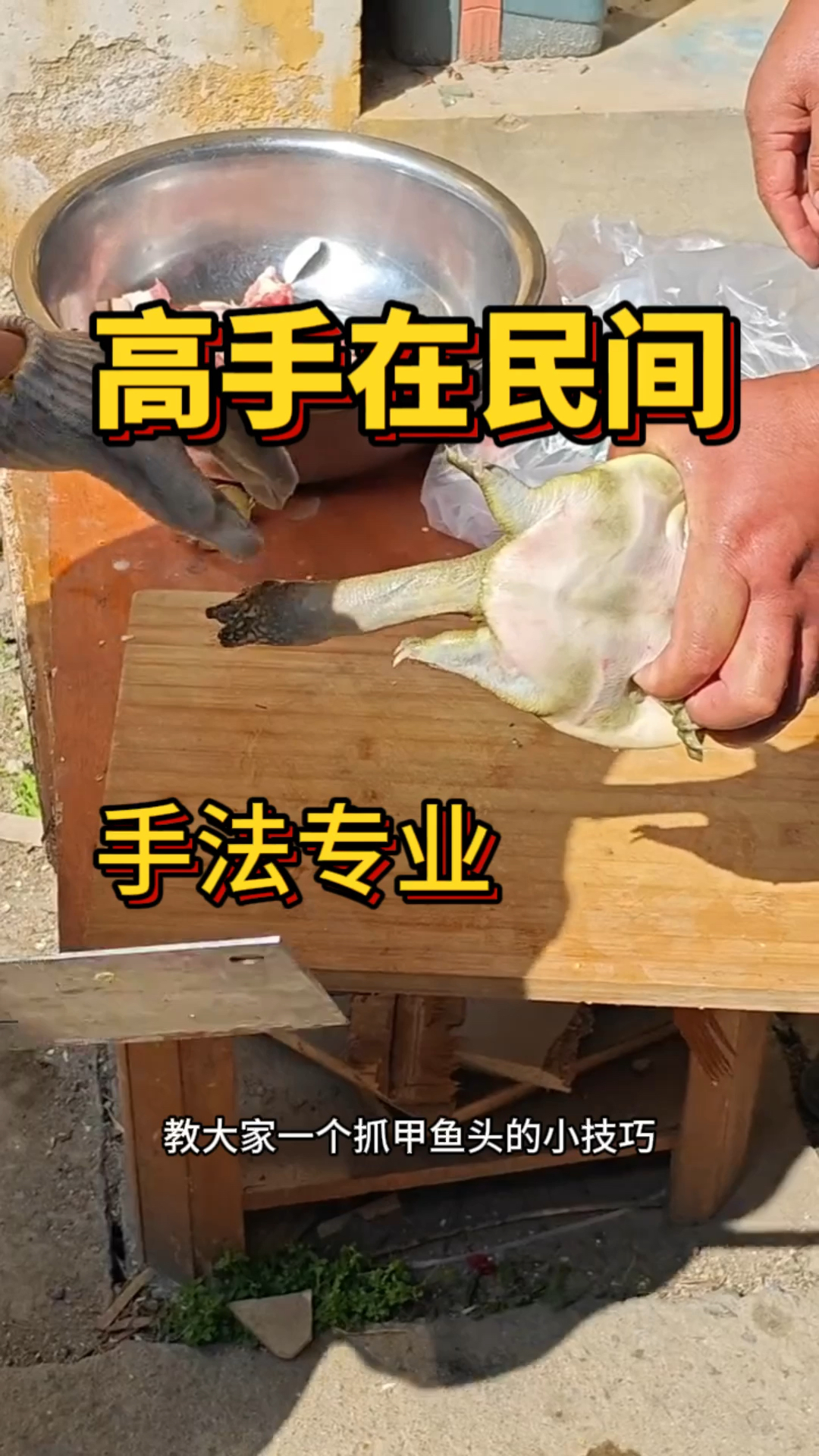 抓甲鱼头的技巧,真是个高手