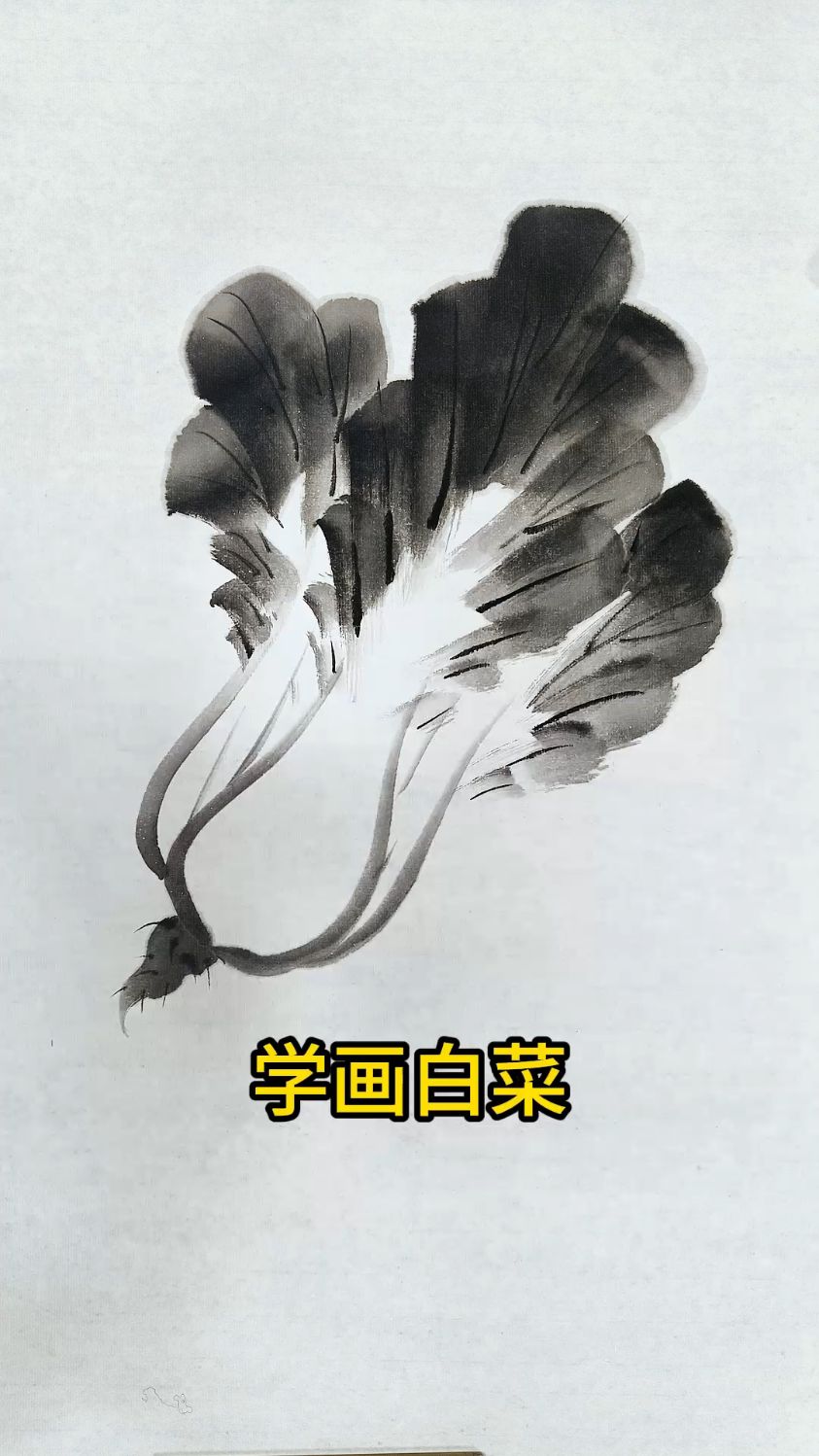白菜 百财,简单的水墨大白菜,一起来学吧