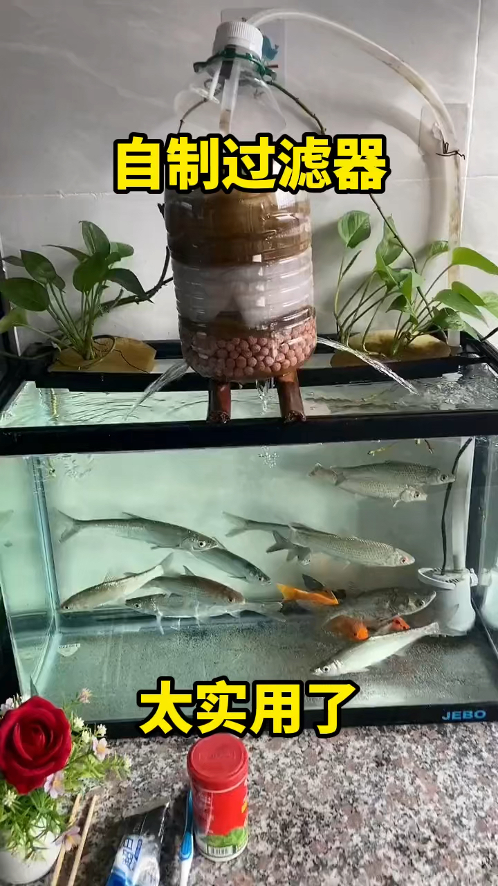 自制的鱼缸过滤器