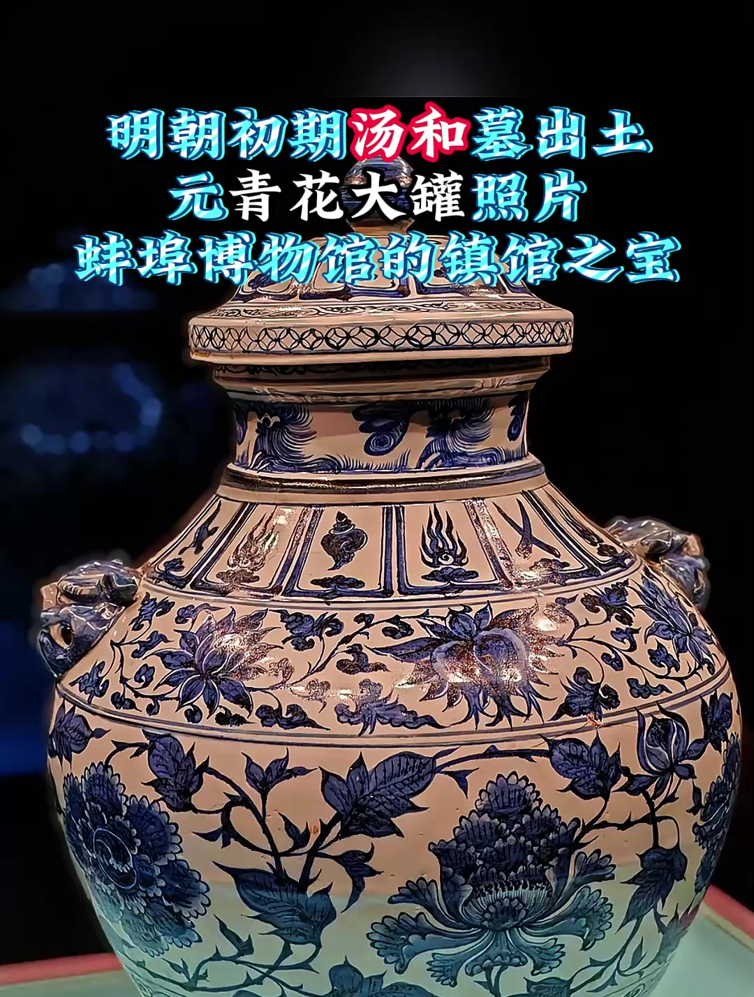 明朝初期,汤和墓出土元青花大罐照片,蚌埠博物馆的镇馆之宝