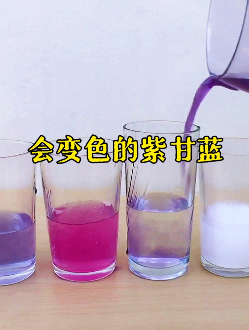 神奇的紫甘蓝,能变出数种颜色,是什么原理