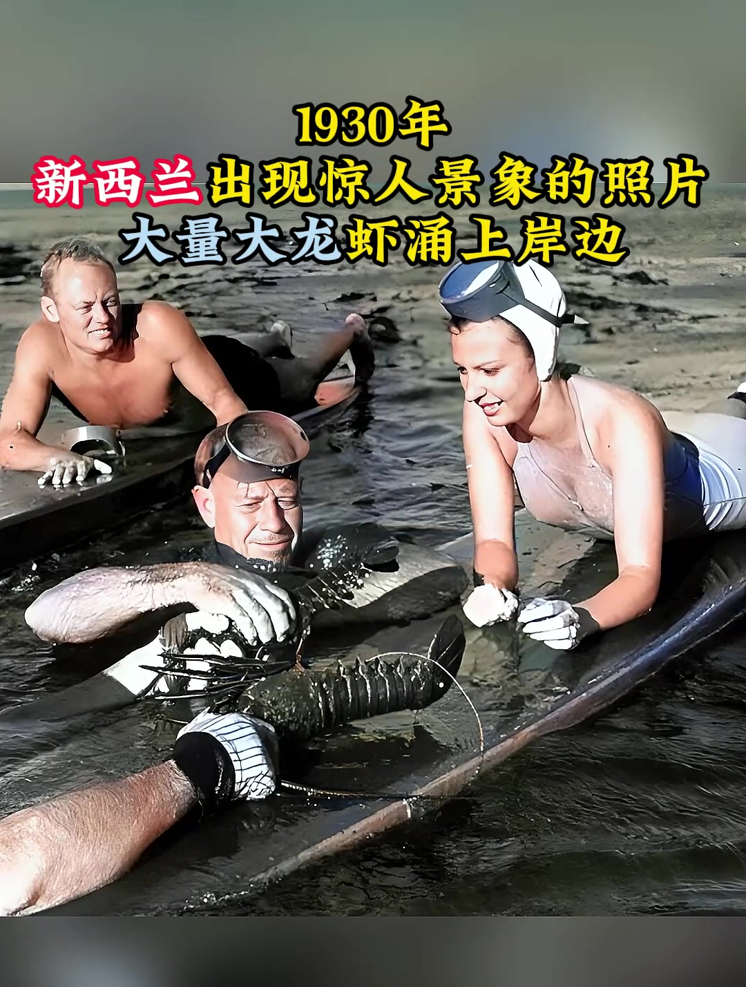 1930年,新西兰出现惊人景象的照片,大量大龙虾涌上岸边