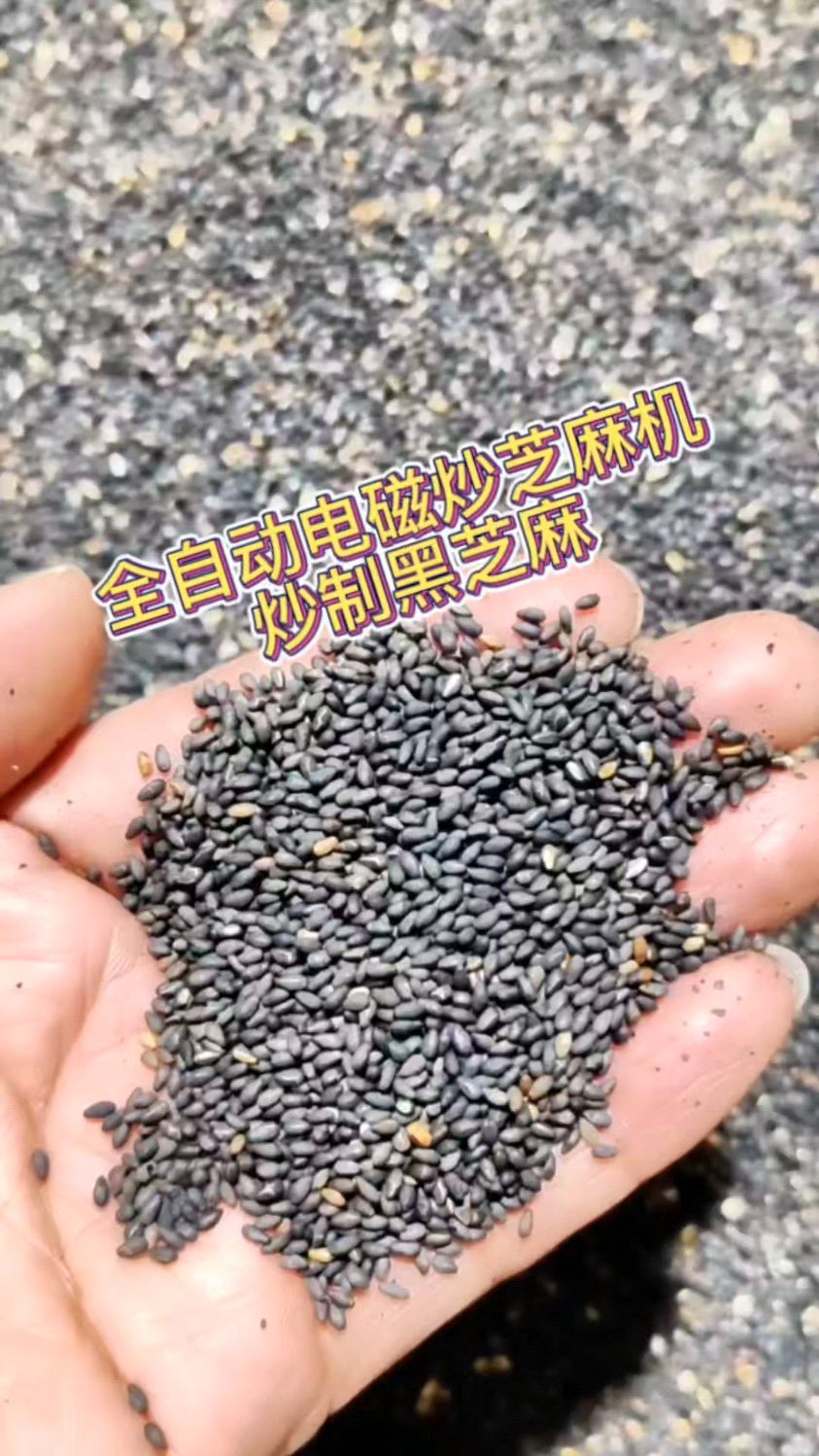 全自动电磁炒芝麻机炒芝麻膨鼓香酥