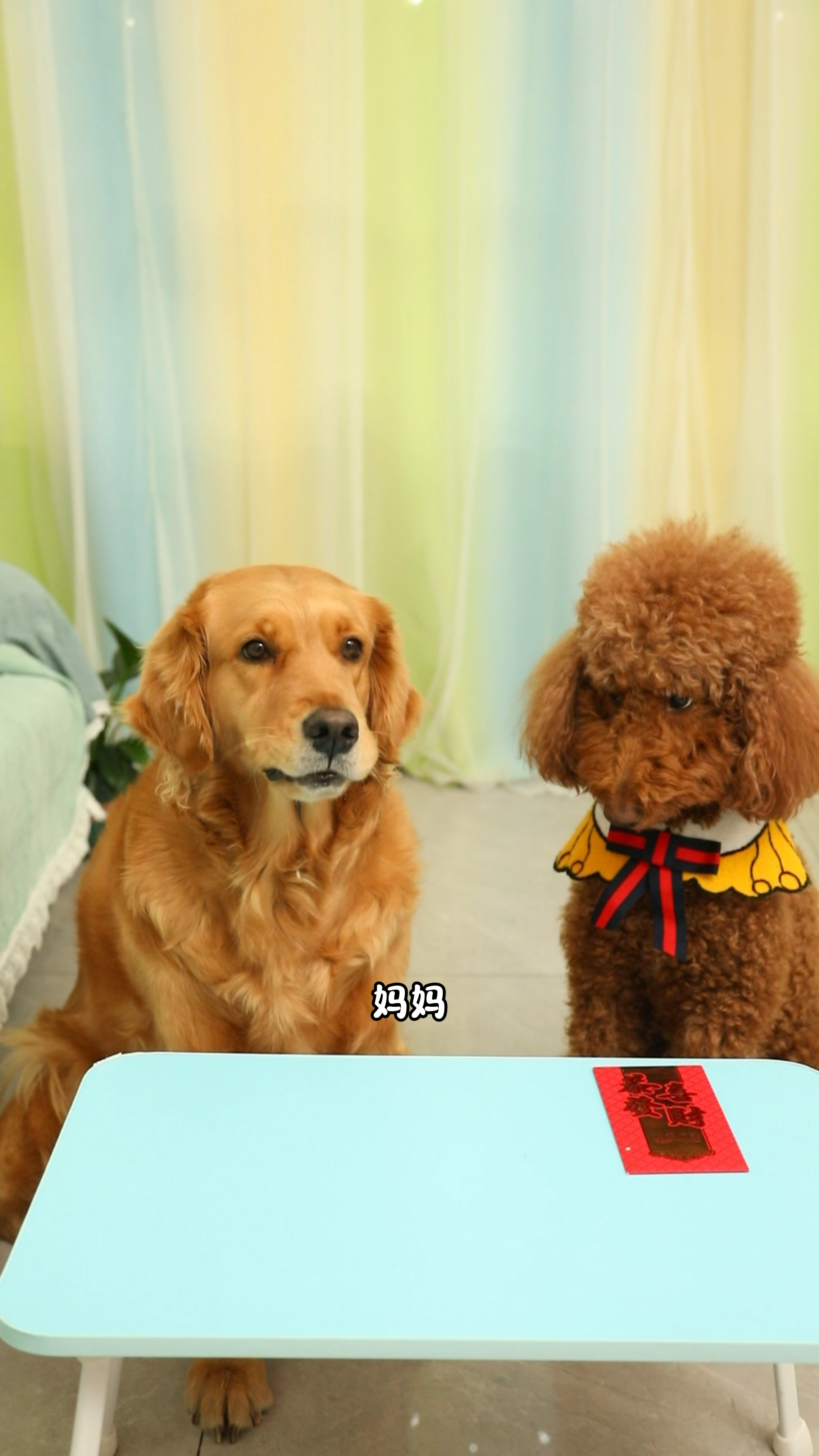 奶茶妈妈到底有没有给奶茶红包