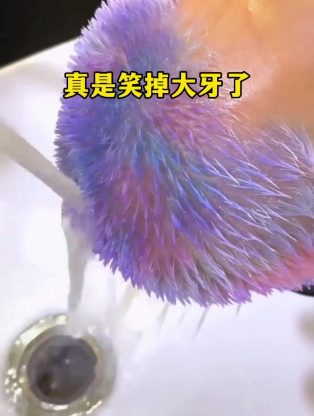 这哥们头发整得跟五彩山鸡似的