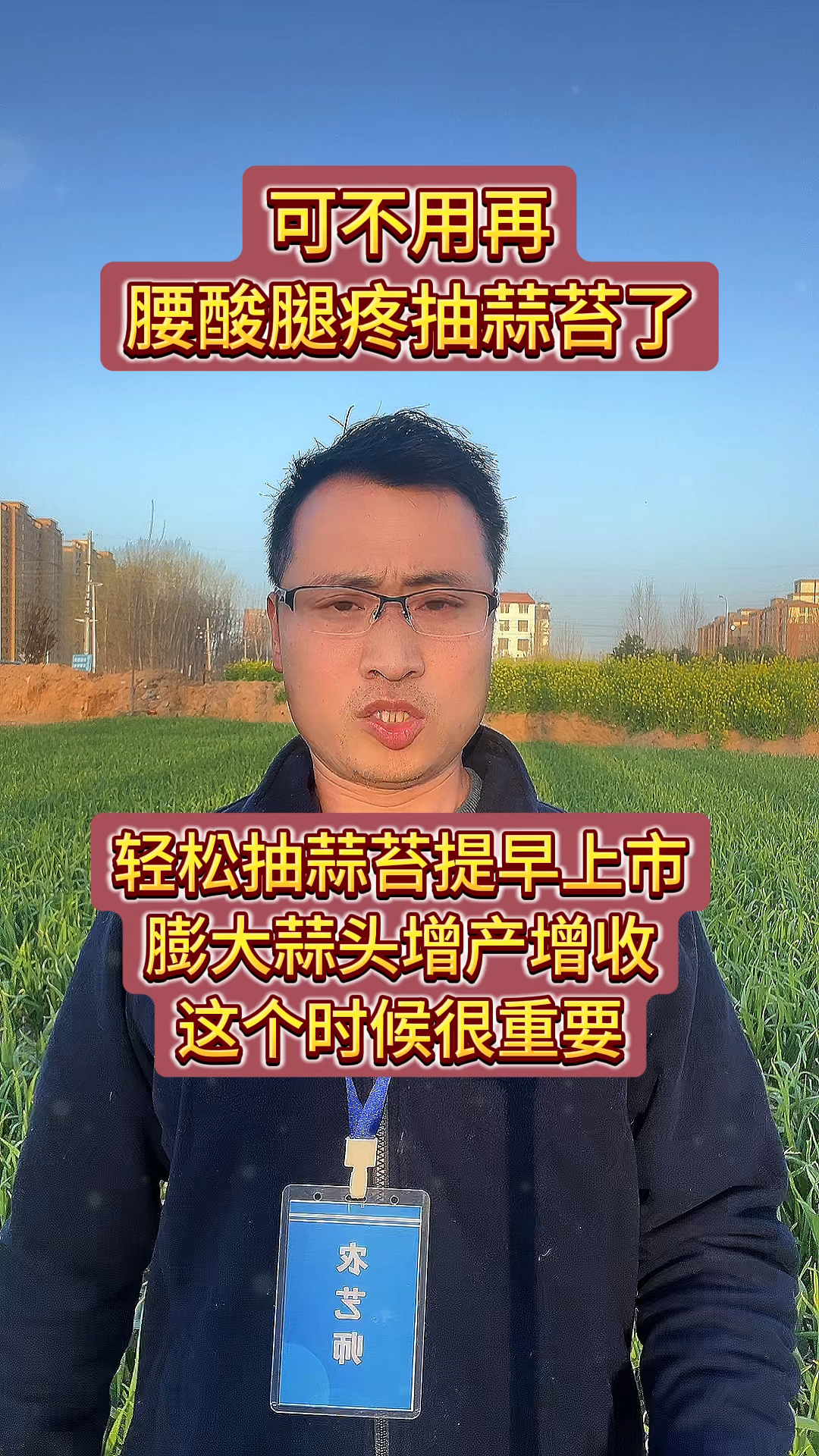 抽蒜苔有方法提前松口很重要