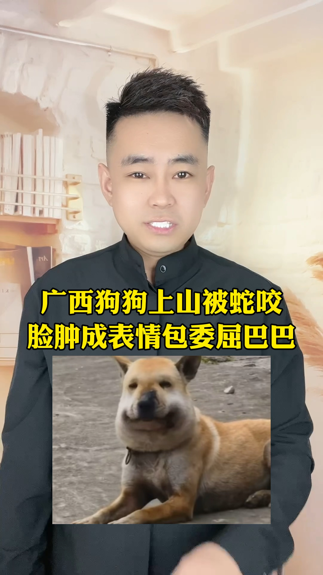 狗狗被蛇咬出表情包委屈巴巴