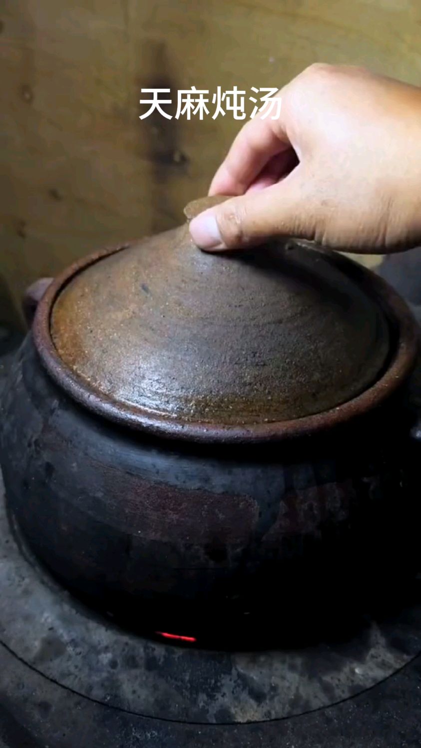 天麻要吃云南的,昭通小草坝新鲜天麻,天麻煲汤