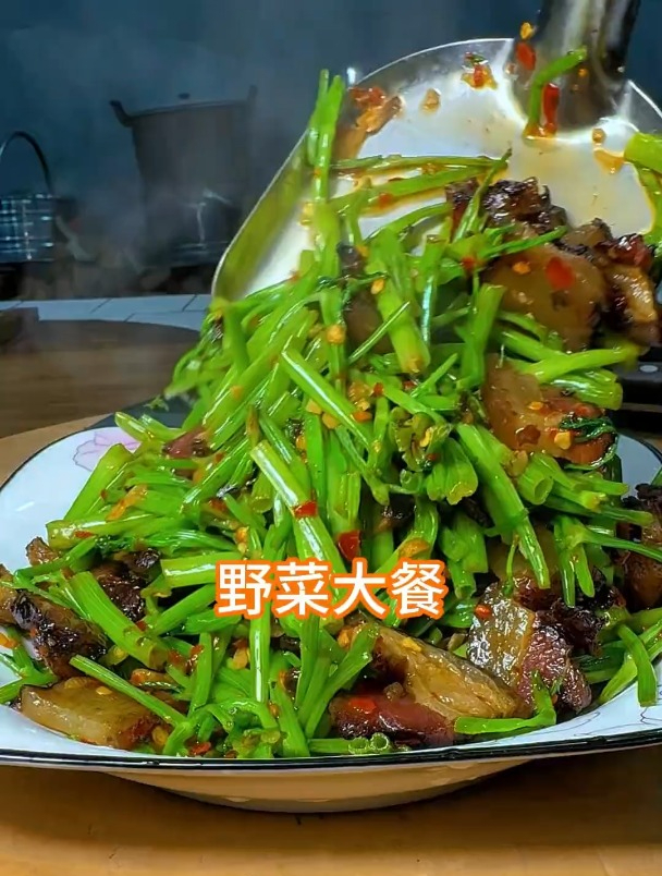 我们农村的春天就是野菜多
