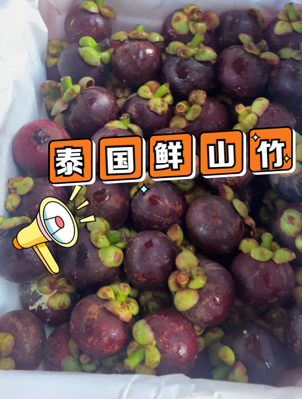 泰国老树麻竹新鲜到货!你吃到了吗?