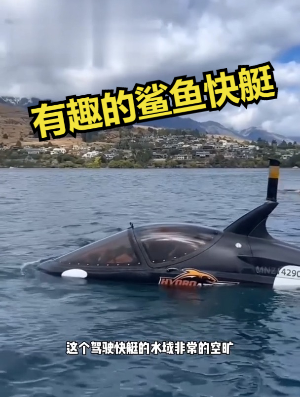有趣的鲨鱼快艇!