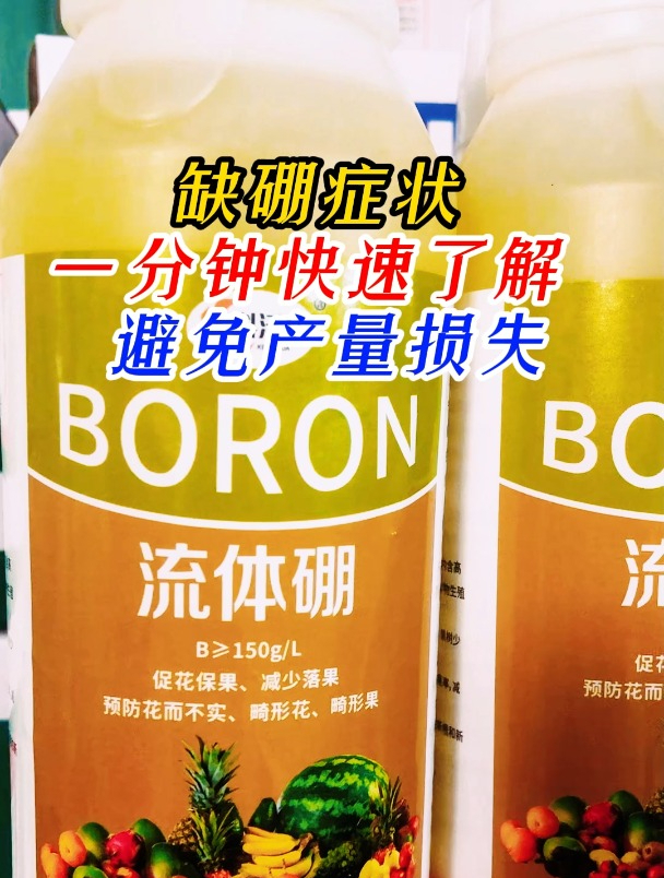缺硼症状 一分钟快速了解 避免产量损失