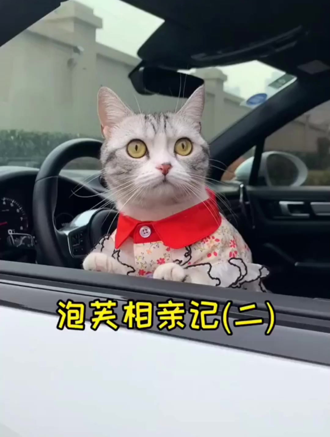 终于和安生见面了,就是相亲过程有点……