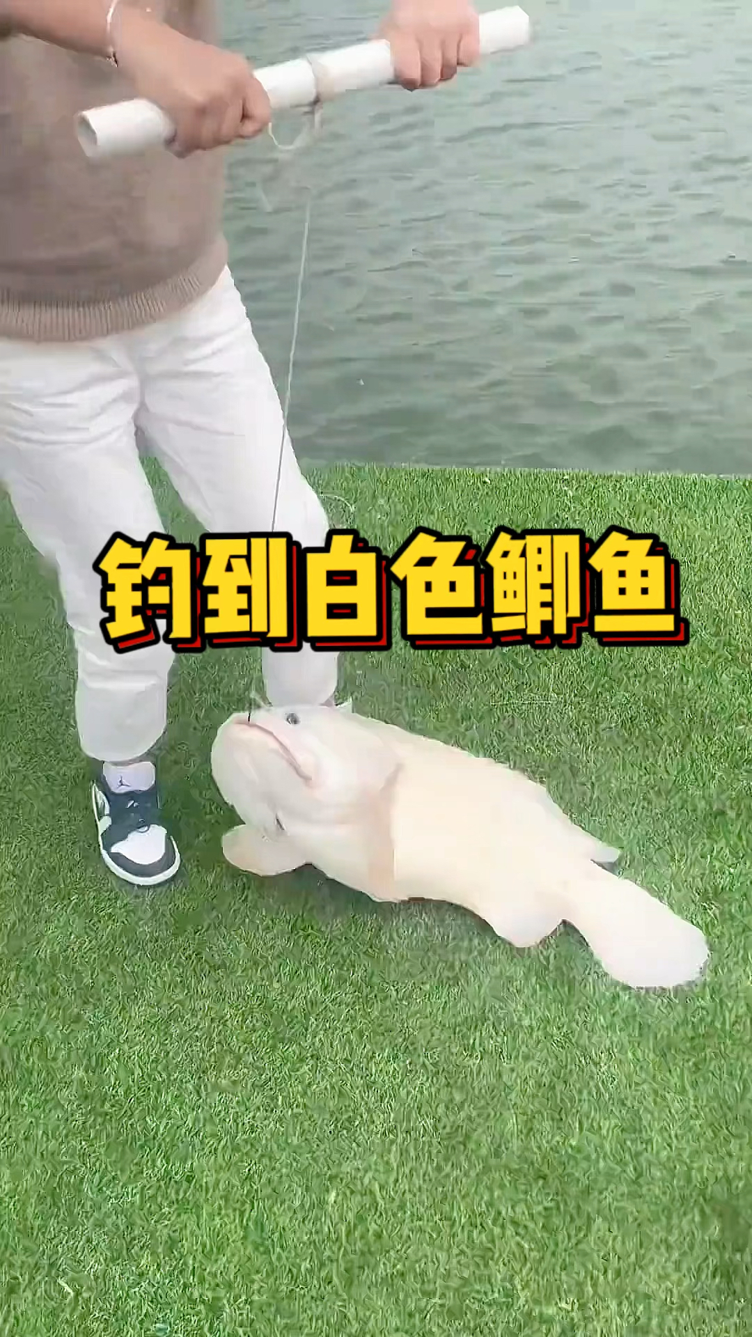 钓到白色鲫鱼,太少见了